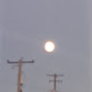 Meet your Posher, Sydney